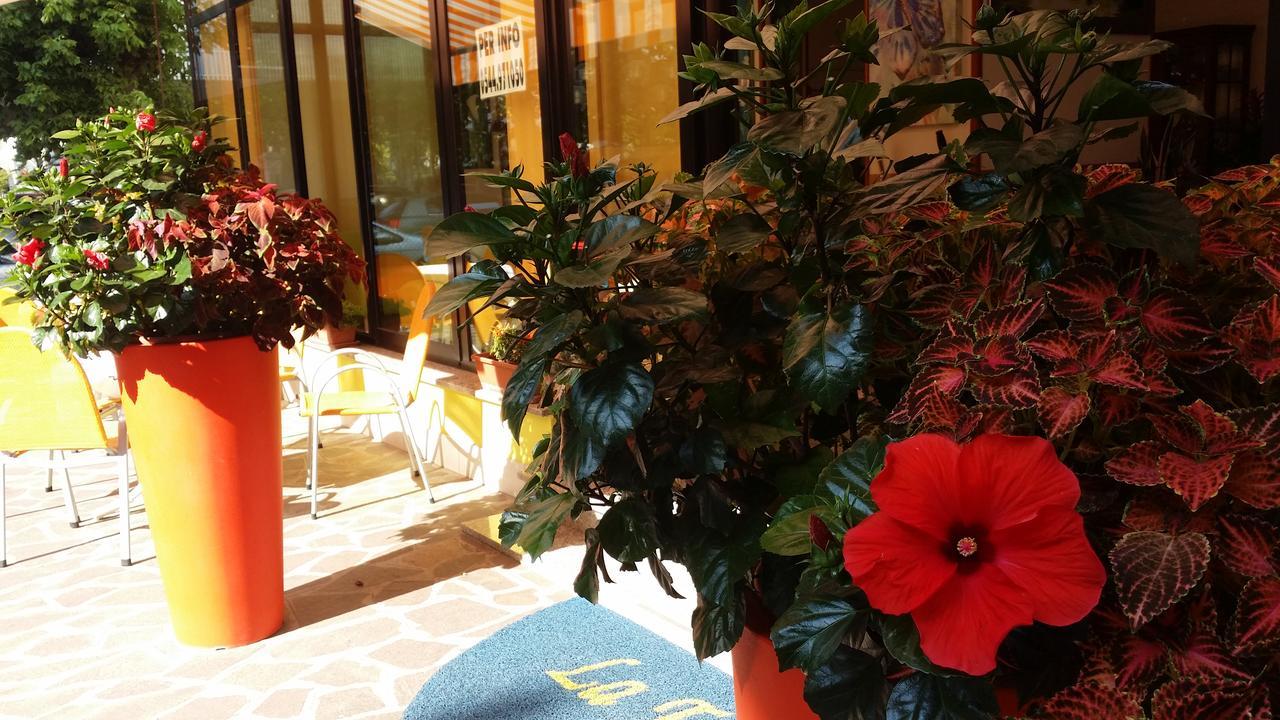 Hotel La Falena Τσέρβια Εξωτερικό φωτογραφία